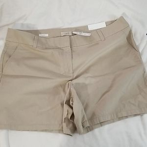 Loft shorts size 16